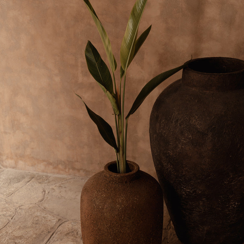 Two rustic vases with a plant against a brown wall.
