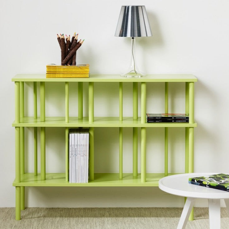 LEVEL Bookshelf green ash, interior view large shelf