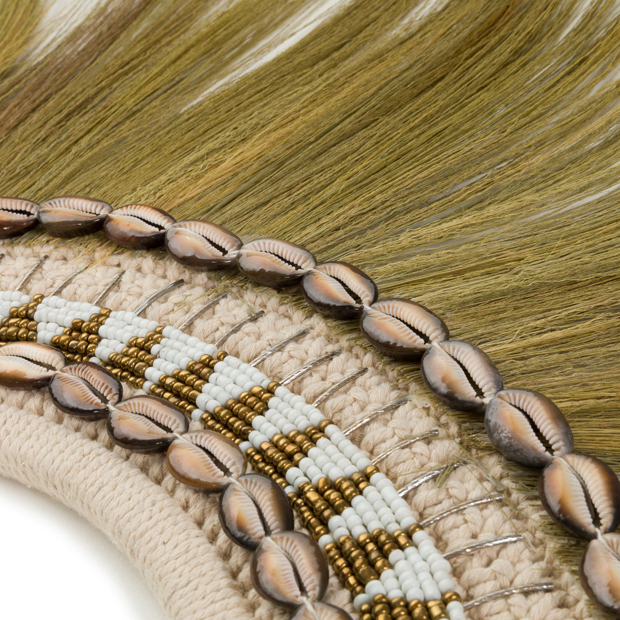 THE RAYUNG SHELL HOOP Wall Decor macro view