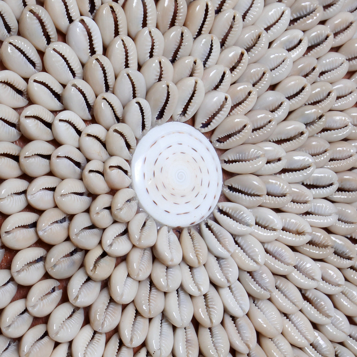 THE LOVELY COASTAL Wall Decor macro view