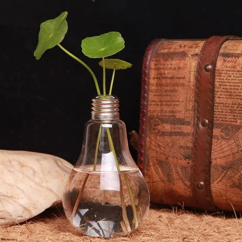 Glühbirne Transparente Hydrokultur-Blumenvase aus Glas