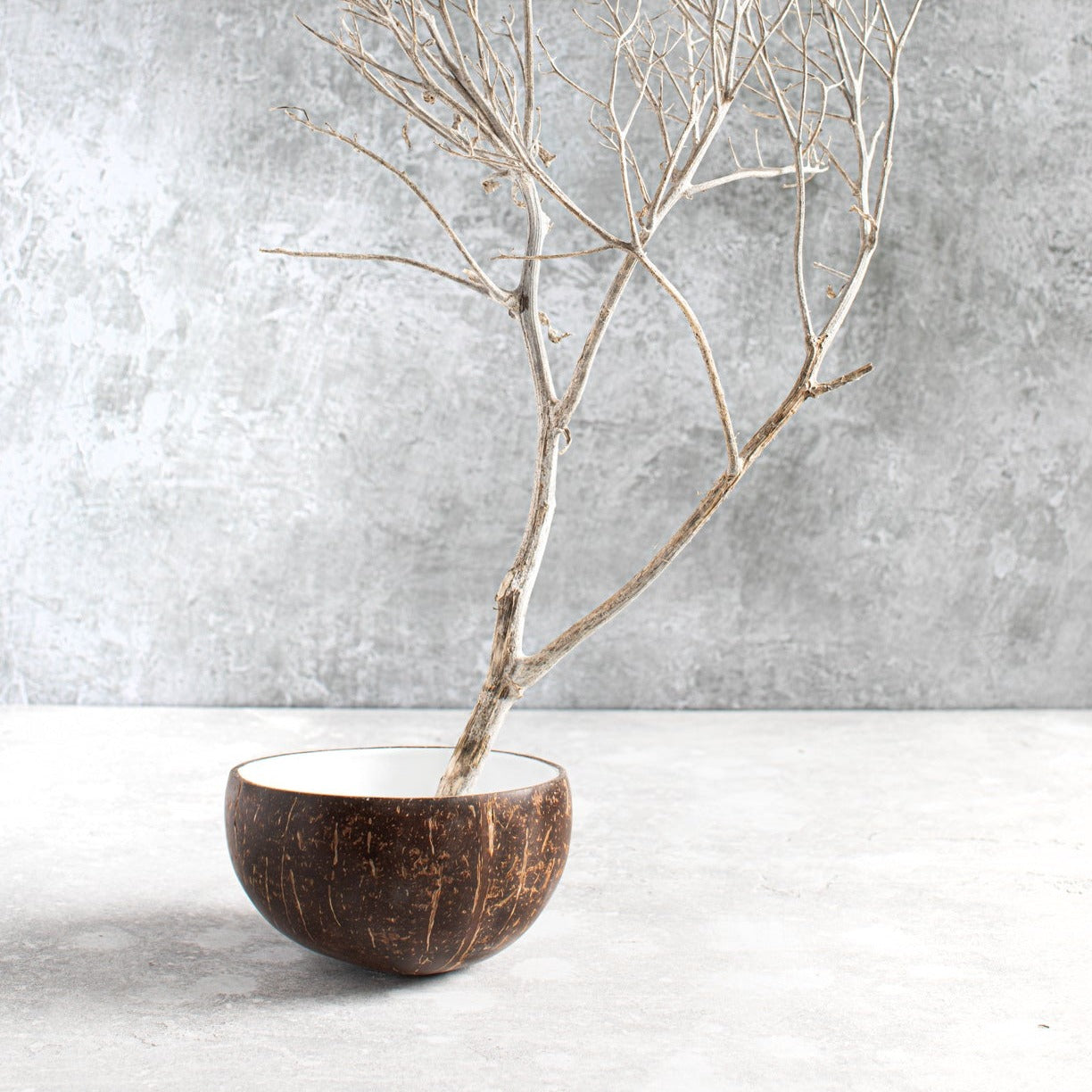 THE COCO Food Bowl interior view with twig