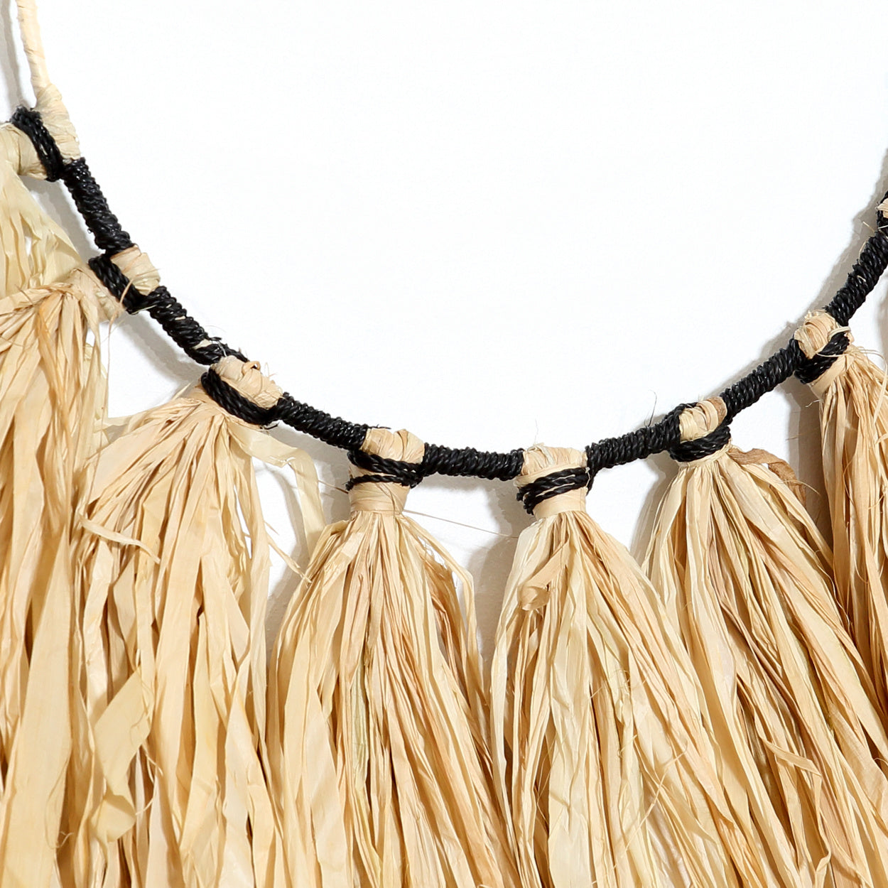 THE USED TO BE WILD-Natural macro view