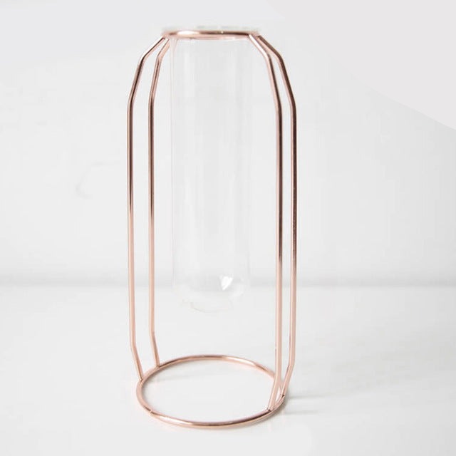 Hydroponische Vase für Wohnkultur mit Eisenhalter