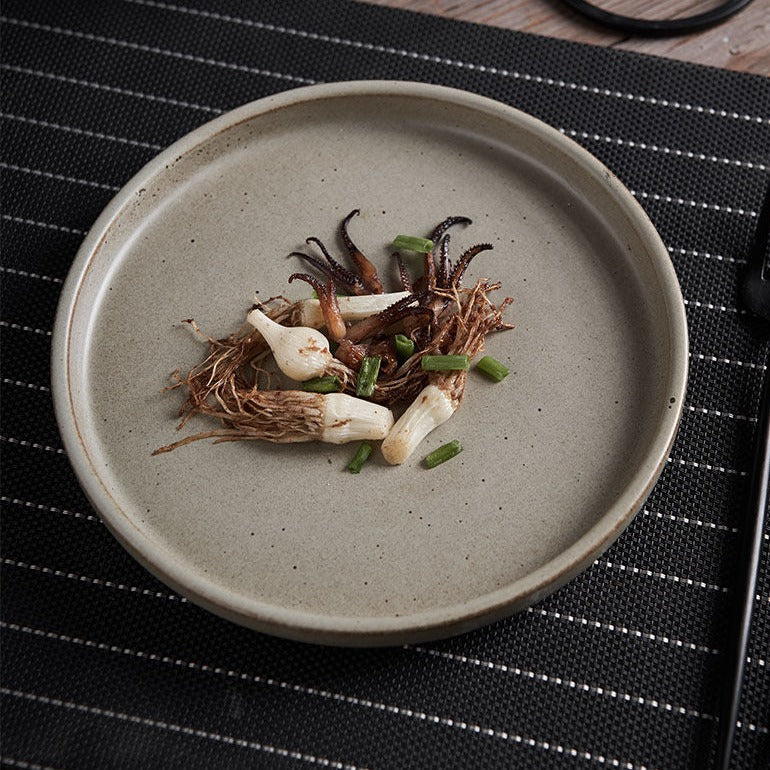 Japanische Einfachheit Retro grobe Keramikplatte