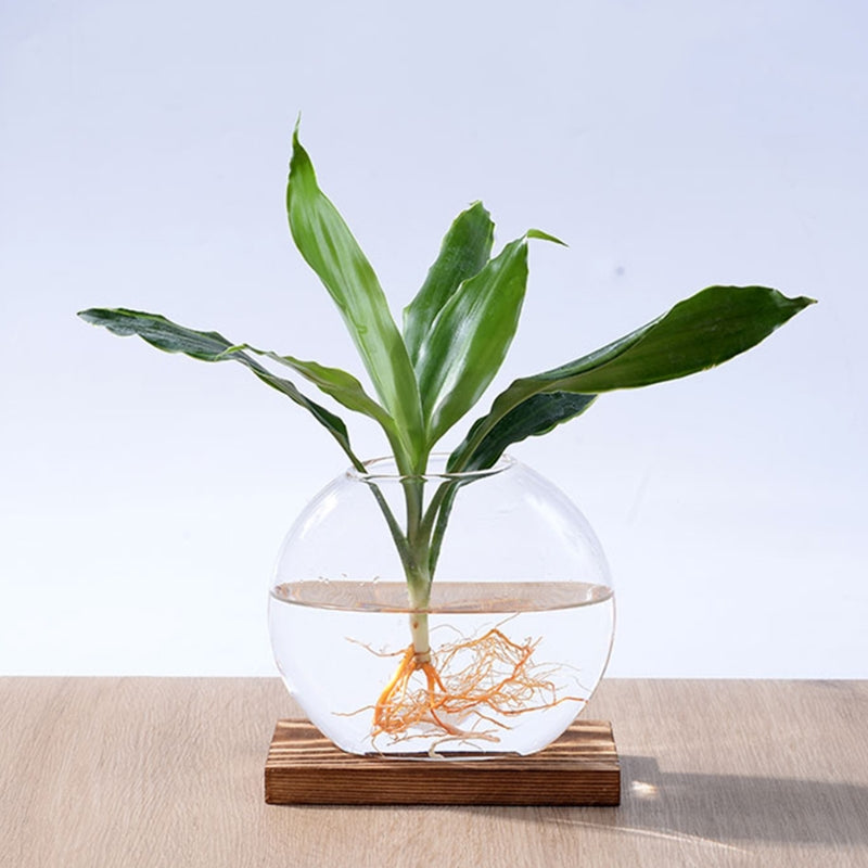 Desktop Rundes Kristallglas