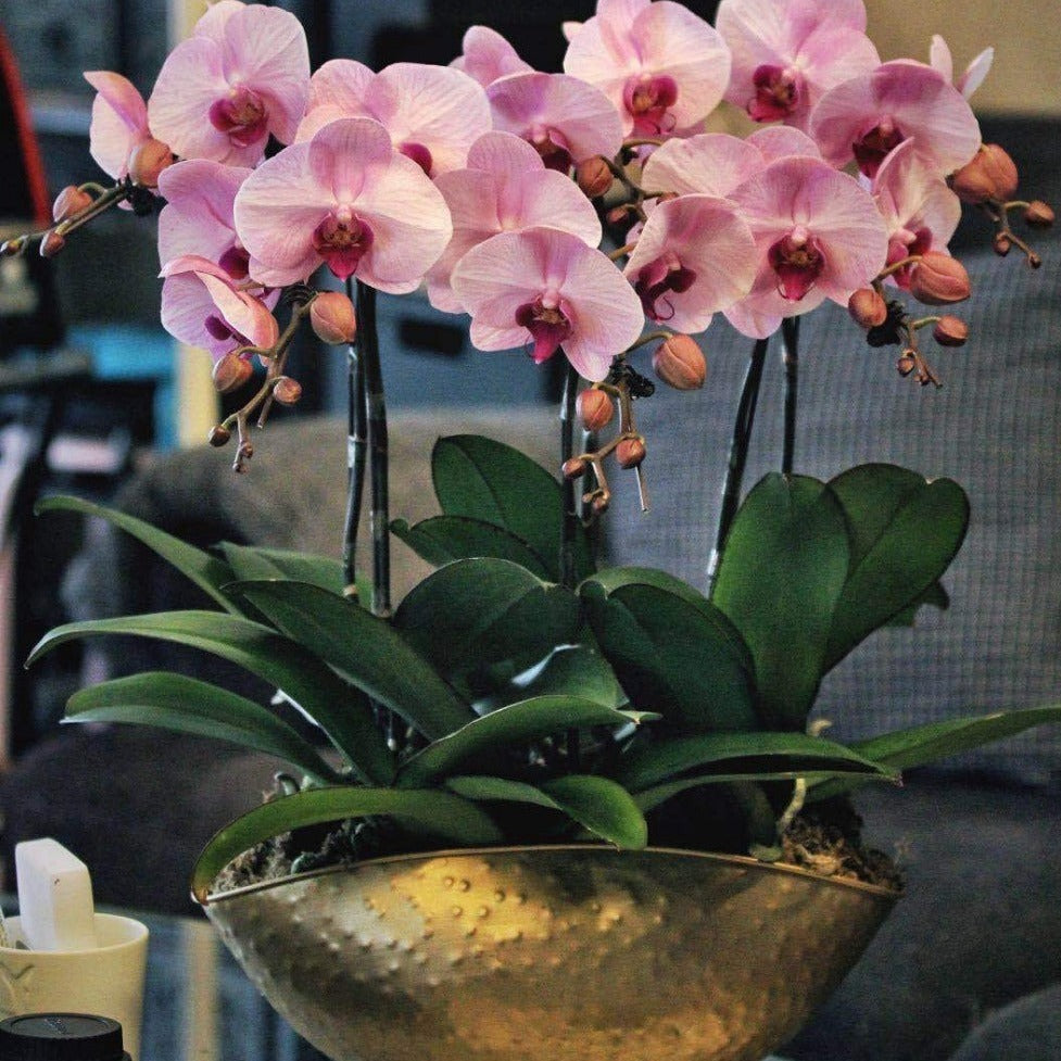 Handgefertigter Blumentopf aus goldenem Eisen