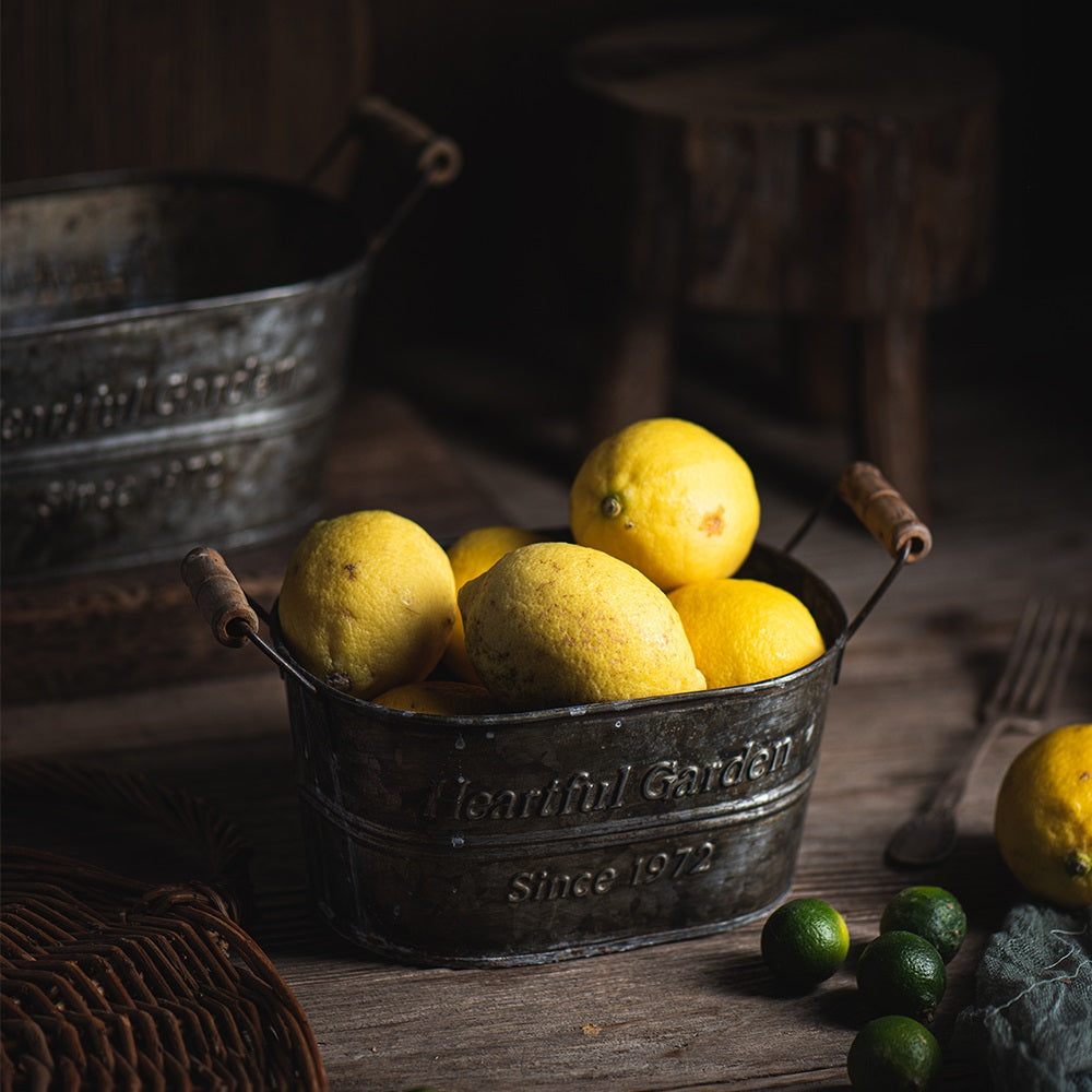 Vintage Country Aufbewahrungskorb aus Metall