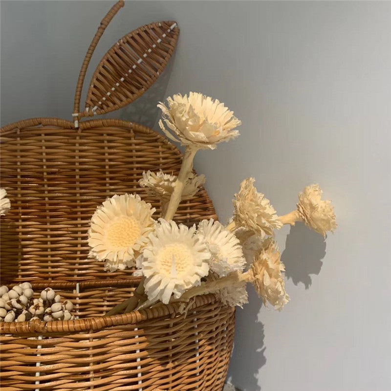 Vintage Rattan Apfel und Birne Form Lagerung Korb