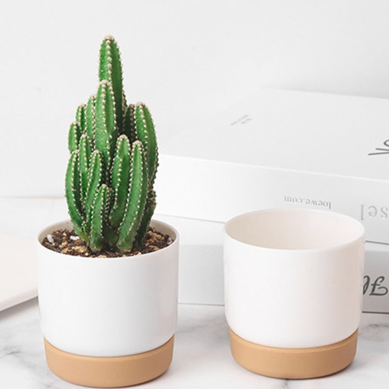 Süße kleine weiße Blumentöpfe