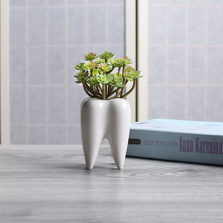 Kreative Zahnvase aus Keramik Sukkulente