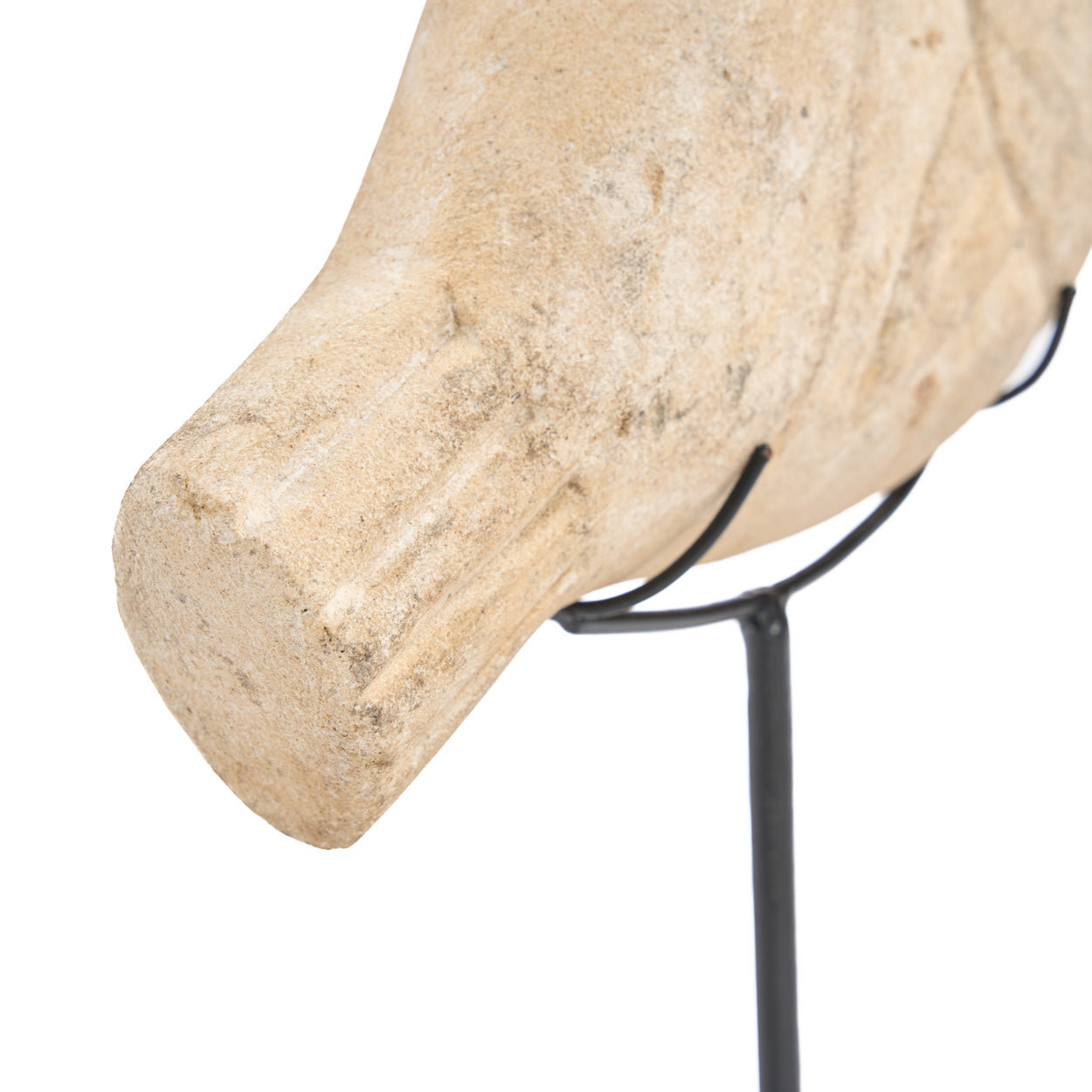 Close-up of a stone fish on stand against a white background