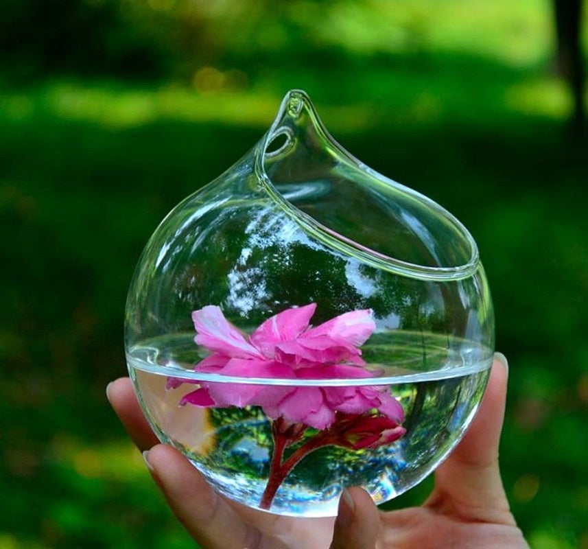 Hoher Pflanzenhalter aus Borosilikatglas