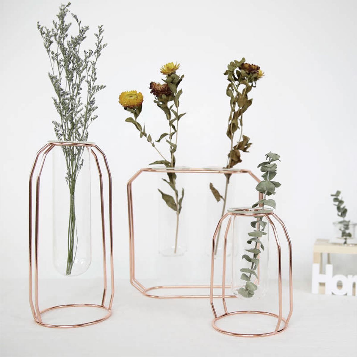 Hydroponische Vase für Wohnkultur mit Eisenhalter