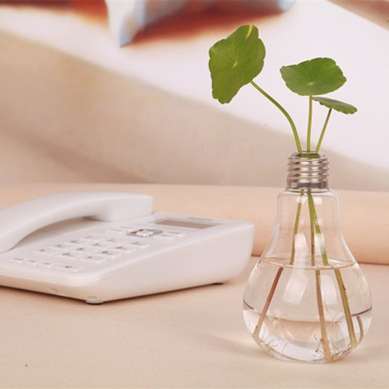 Glühbirne Transparente Hydrokultur-Blumenvase aus Glas
